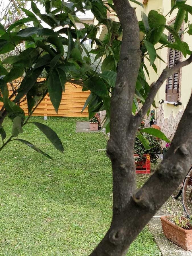 Clarissabeb Bed & Breakfast Fiumicino Exterior photo